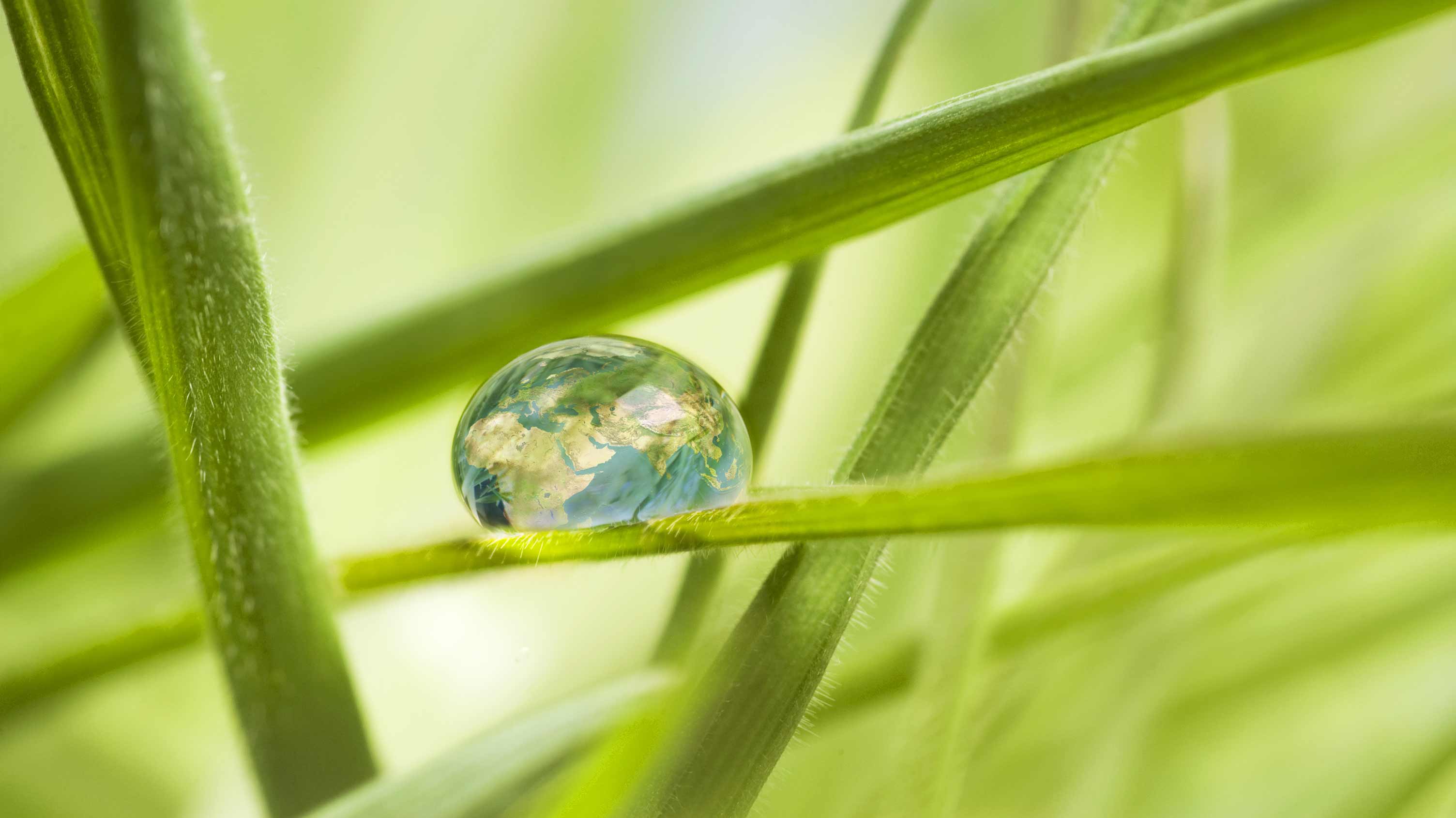 1_1140x640_Water-drop-with-Globe-image-on-Plant-Leaf