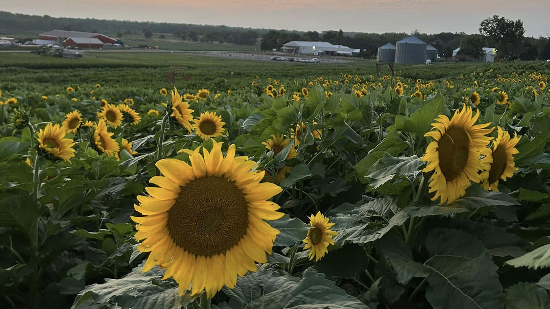 Cultivating Future Farming: Valley Irrigation Helps Empower Education ...