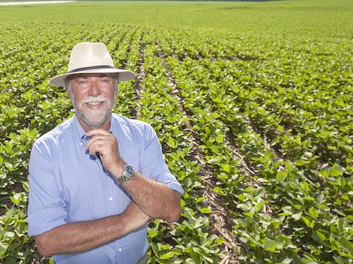 REMOCIÓN DE GASES DE EFECTO INVERNADERO A TRAVÉS DE LA PRODUCCIÓN AGRÍCOLA SUSTENTABLE