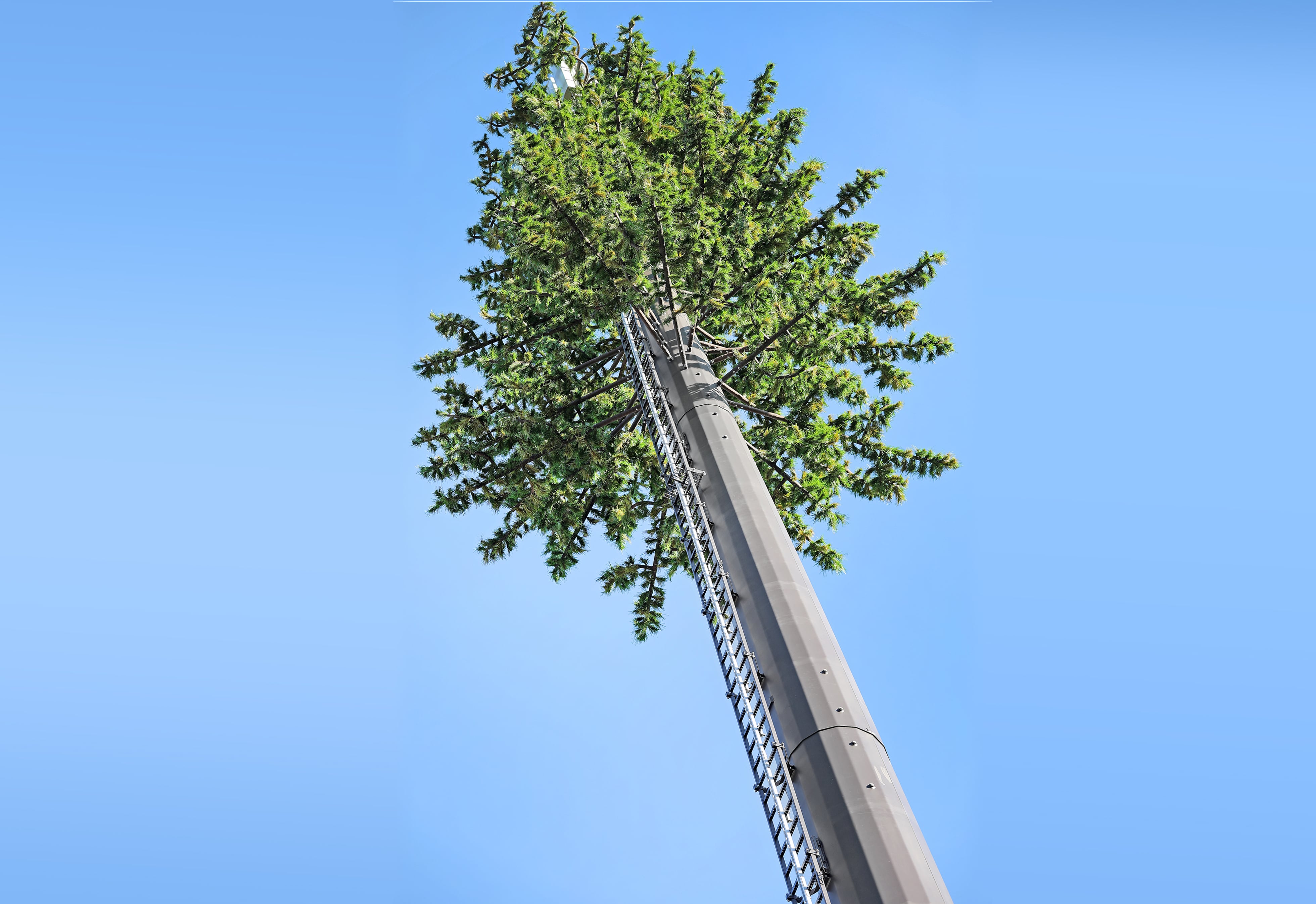 Monopines provide connectivity, minimize environmental impact