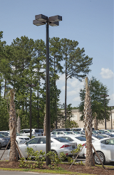 CMT-marathon-composite-light-pole-Hilton-Head