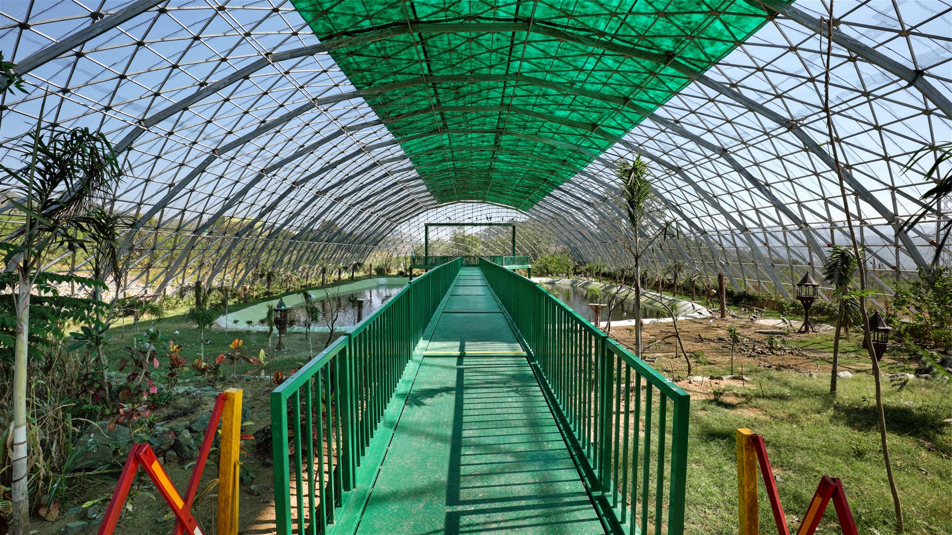 Exotic Aviary Geodesic Dome