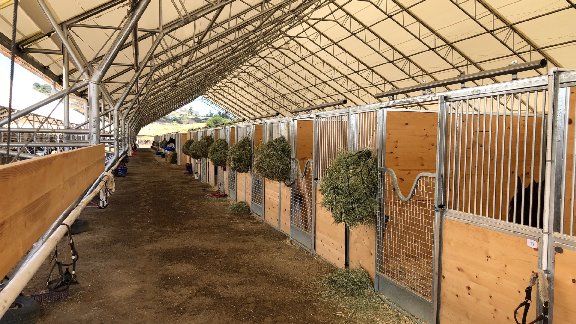 San Luis Rey Downs Horse Stalls