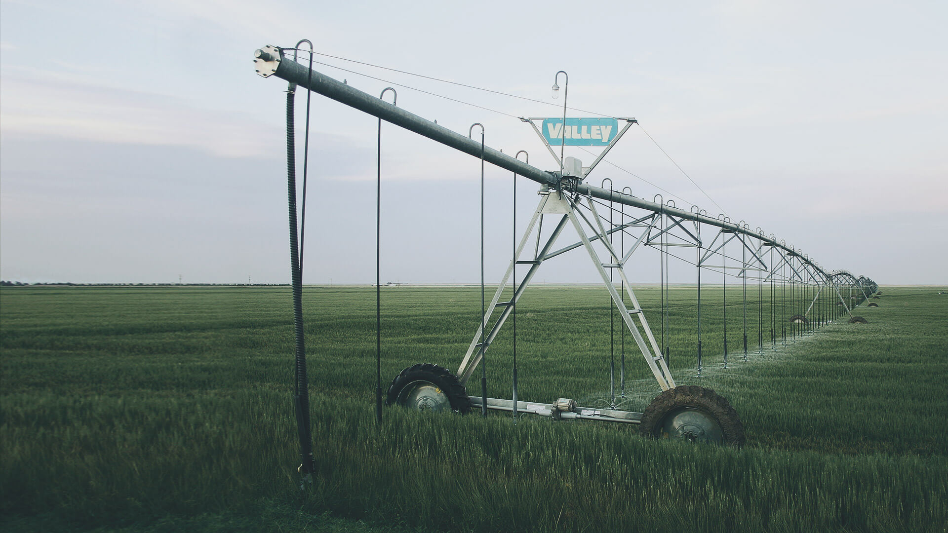 Food and Agriculture