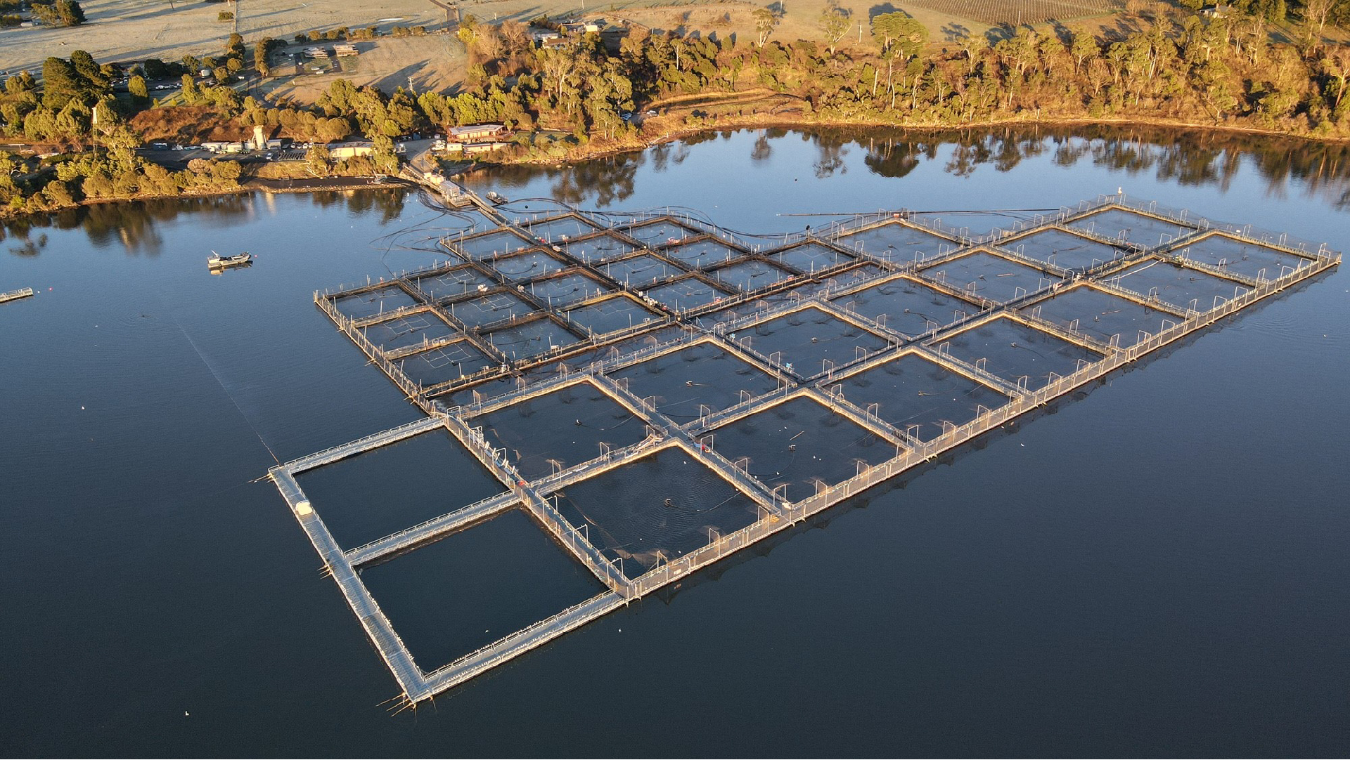 Petuna Group Rowella Salmon Farm Reconfiguration