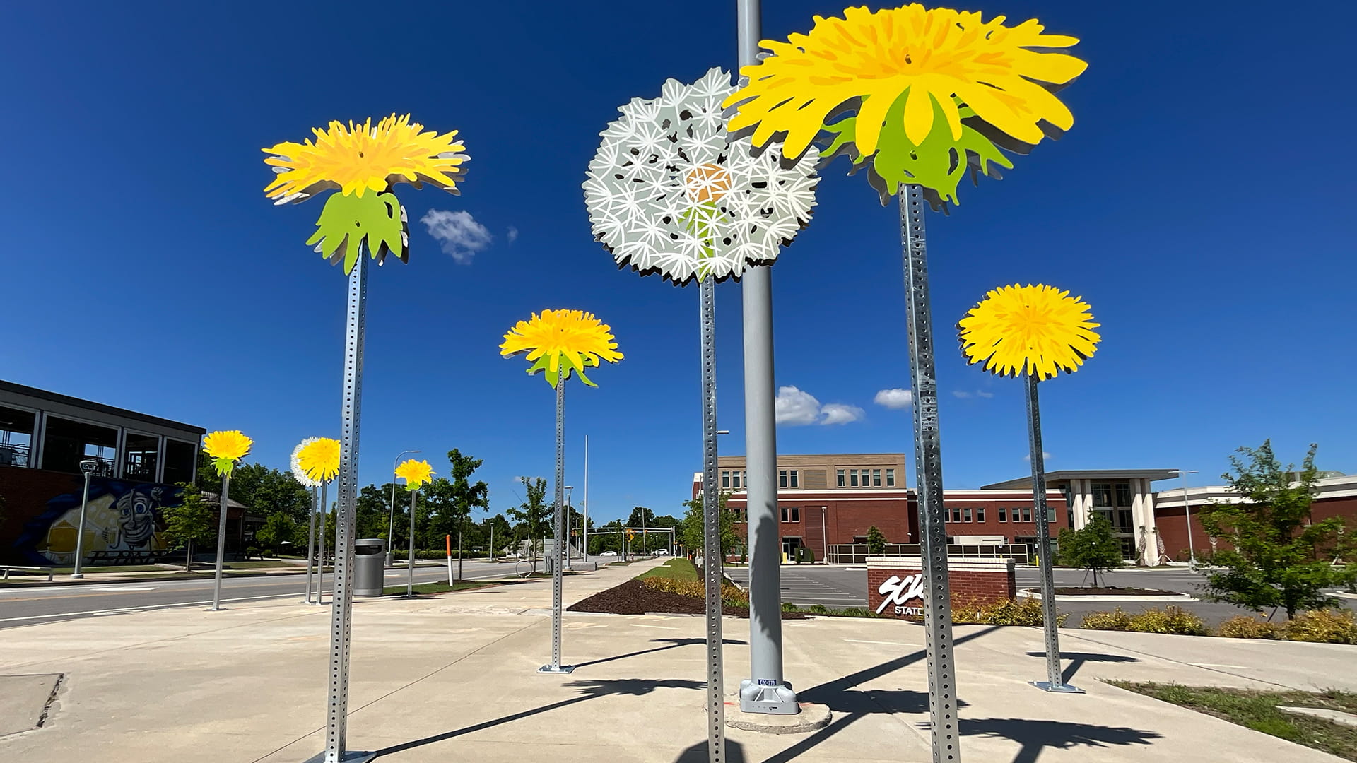 Vista Dandelions